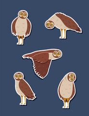 Stickers Set of cute funny owl with tilted leaned head, in flight. Vector illustration of cartoon forest night birds. - 772118458