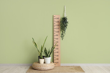 Wooden stadiometer and houseplants near green wall