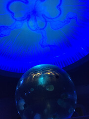 幻想的なクラゲの水槽