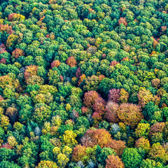 vue aérienne  de forêts à l'automne en France