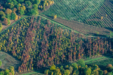 vue aérienne  de forêts à l'automne en France - 772124056