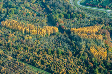 vue aérienne  de forêts à l'automne en France