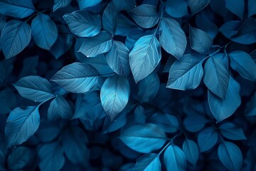 Luminous Blue Leaves Close-Up with a Dark Background
