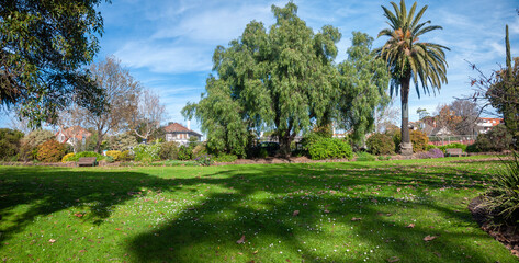 a peaceful urban park in sunlight with grass lawn and wildflowers. Diverse trees and residential...
