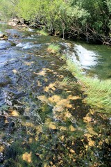 Obraz premium rapids on the lovely Zrmanja river near Muscovici, Croatia