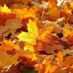 Naklejka na ściany i meble Fall Foliage A Golden Leaf-filled Landscape Generative AI