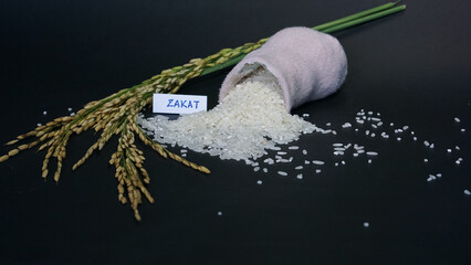 rice and paddy on black background. Zakat Concept. Zakat is the sharing of wealth from the rich for...