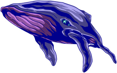 Illustration of a swimming whale on a transparent background