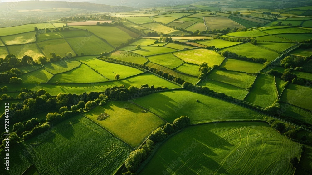 Wall mural Green Fields in Rural Wales: Aerial View of Farmlands from Up High