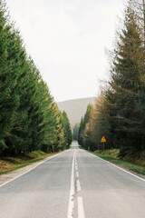 road in the mountains
