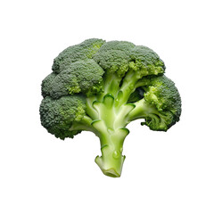 Fresh Broccoli 