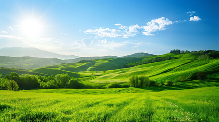 Beautiful green green landscape on a bright sunny day