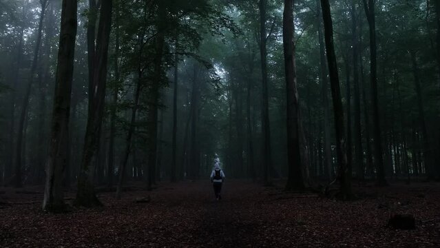 Static shot of a man from his back wearing hoody and running along the forest with long trees