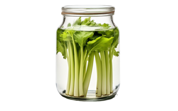 Glass jar filled with vibrant green vegetables on a clean white background