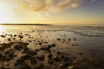 Abendstimmung bei Ebbe an der Nordseeküste am Neuharlingersiel in Ostfriesland, Niedersachsen,...