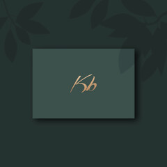 Kb logo design vector image