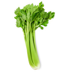 celery on isolated white background