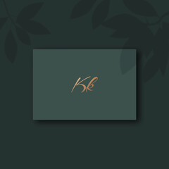 Kk logo design vector image