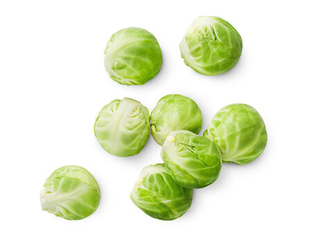 scattered Brussels sprouts on isolated white background, top view