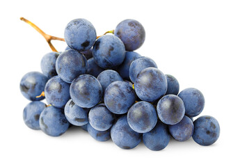 bunch of blue grapes on isolated white background