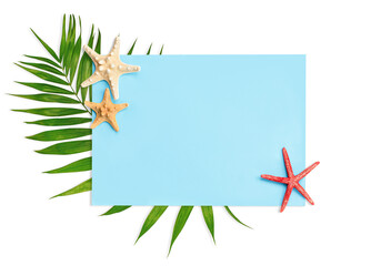 palm leaf and starfish on blue rectangle with copy space on isolated white background