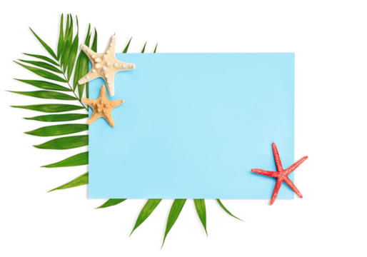 palm leaf and starfish on blue rectangle with copy space on isolated white background