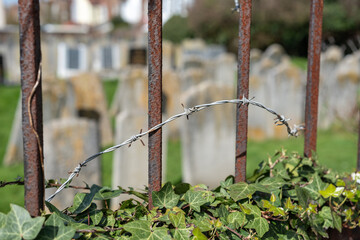 rusty fence on the cemetery