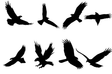 Majestic wings, Top rated eagle silhouette collection, High quality eagle flying collection, Set of avian elegance Vector, Eagle and flying bird silhouettes , Eagle flight, Top collection of eagle 