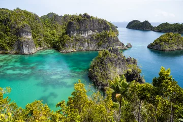 Fotobehang Emerald color of the lagoon near one of the islands of the Raja Ampat archipelago, Indonesia © Guzel