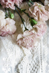 Bouquet of pink carnation flowers on lace background.