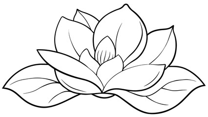 Captivating Magnolia Vector Art Elevate Your Designs with Stunning Floral Graphics