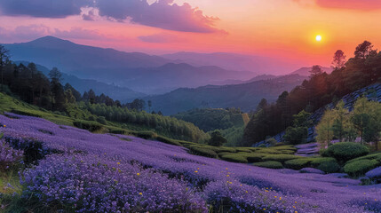 A large field of lavender flowers on the mountaintop, with purple and blue petals covering an area as wide as one or two football fields. Created with Ai