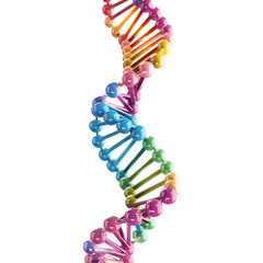 dna strand on white transparent background