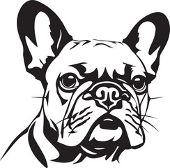 french bulldog puppy