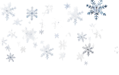 A single snowflake rests gracefully on a pristine white background
