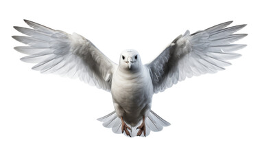 A majestic white bird gracefully stretches its wings outwards