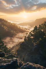 Sunrise View from a Mountaintop: A Journey Through the Wilderness Mist