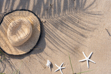 Composition on wild beach sand in Mediterranean of shadow of palm tree lea, with starfish and hat summer vacation concept - obrazy, fototapety, plakaty