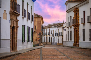 Typical street with palaces leading from the Plaza de Santo Domingo in Almagro, Ciudad Real,...
