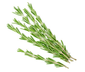 Fototapeta premium fresh sprigs of rosemary on white isolated background