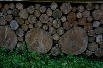 stack of firewood