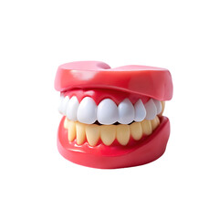 Obraz premium typodont tooth retainer 3d modeling