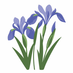 Irises in cartoon, doodle style. Image for t-shirt, web, mobile apps and ui. Isolated 2d vector illustration in logo, icon, sketch style, Eps 10. AI Generative