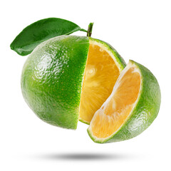 Calamansi or green orange fruit with quarter cut off isolated on white background