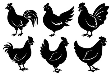 -different-chicken-icon-vector-illustration