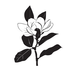 Magnolias in cartoon, doodle style . Image for t-shirt, web, mobile apps and ui. Isolated 2d vector illustration in logo, icon, sketch style, Eps 10, black and white. AI Generative