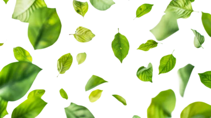 Foto op Plexiglas Green floating leaves isolated on transparent background © AuroraCrafts