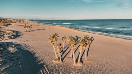 Idyllischer Strandparadies: Luftaufnahme eines leeren Strandes mit Palmen und Mittelmeer - obrazy, fototapety, plakaty