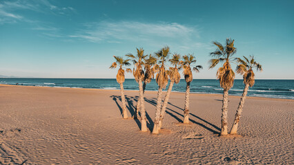 Idyllischer Strandparadies: Luftaufnahme eines leeren Strandes mit Palmen und Mittelmeer - obrazy, fototapety, plakaty