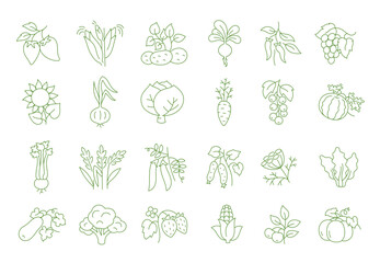 Vegetable plant on a bush branch. Vector line Icons set. Editable Stroke. Vector line open paths illustration. - 772243203